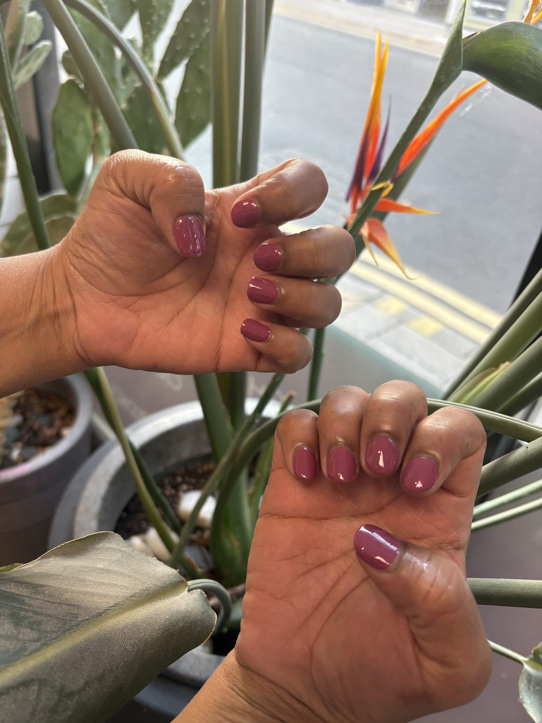 Close view of short mauve rose gel nails, both hands curled towards the camera in warm afternoon light.