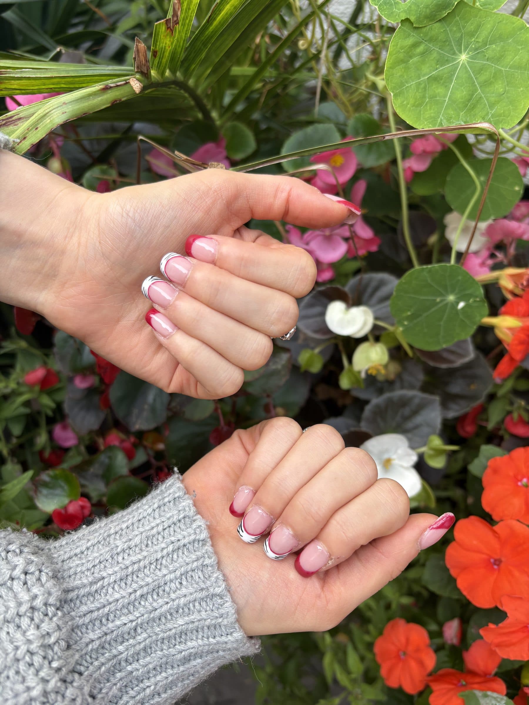 Close view of the same red French tips and zebra accent nails, both hands loosely curled among garden flowers.