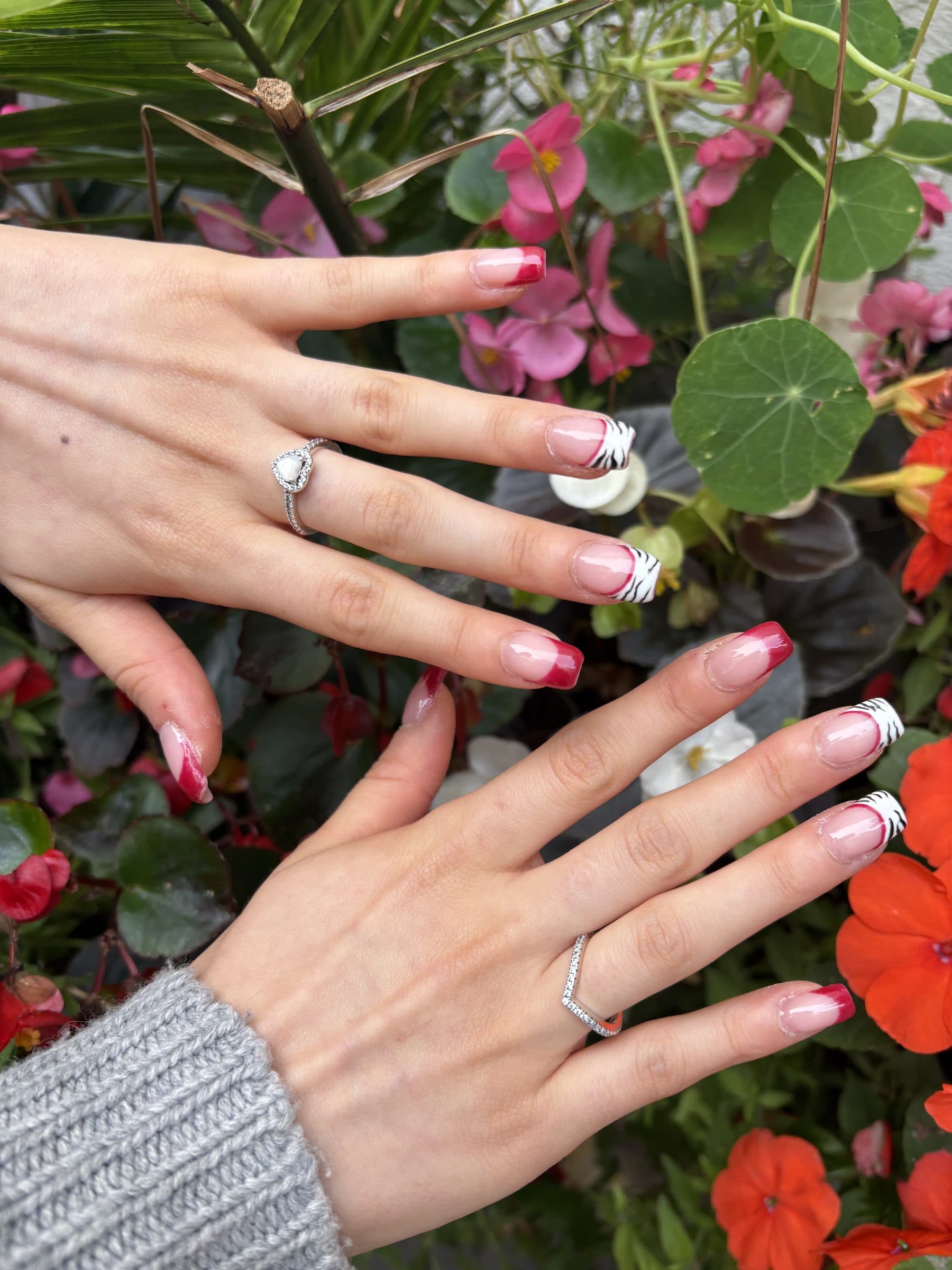 Two hands with square red French tips, two nails painted with a black and white zebra stripe, resting against pink and orange bedding flowers.